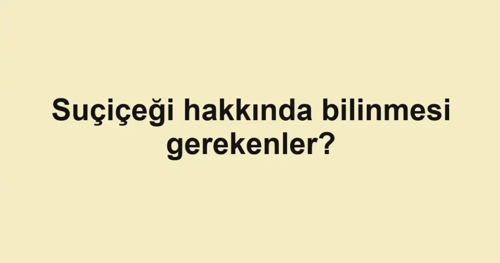 haber-gorseli-1790599686984