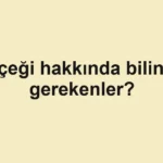 haber-gorseli-1790599686984