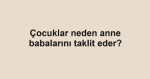 cocuklar-neden-anne-babalarini-taklit-eder