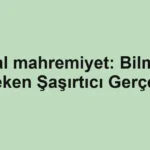 dijital-mahremiyet-bilmeniz-gereken-sasirtici-gercekler.webp